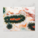 Search for stone pattern postcards Abstract
