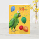 Search for eclectus parrot Parrots