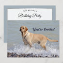 Search for beach party dogs invitations Ocean