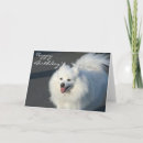 Recherche de spitz vœux cartes Eskimo américain