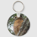 Search for hawks keychains Nature
