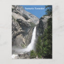 Recherche de mammifères cartes postales Beau