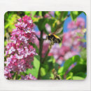 Recherche de fleurs lilas tapis souris Jardin