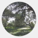 Search for grove stickers Green