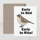 Search for early bird postcards Wildlife