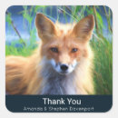 Search for red fox stickers Cute animal