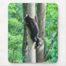 Recherche de ours mignons tapis souris Arbre
