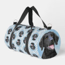 Search for curly dog accessories Retriever