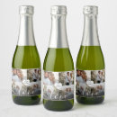 Search for sparkling photography Photo collage