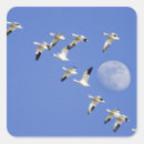 Search for take that stickers Travel