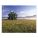 Search for bur Landscape