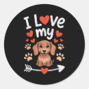 Search for i love pets stickers Aesthetic