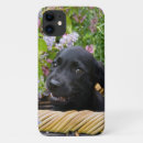 Search for cute labrador retriever iphone cases Funny