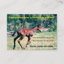 Search for foal Farm