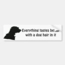 Search for food bumper stickers Dog