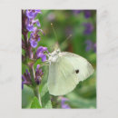 Search for butterfly garden postcards Plants
