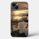 Search for bay cases Dusk
