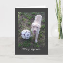 Search for happy fathers day from dog Birthday