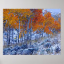Search for mountains in fall posters Wyoming
