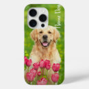 Search for golden apple iphone cases Dogs
