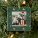 Search for disney mickey mouse ornaments Classic