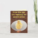 Search for cock Egg