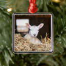 Search for baby lamb ornaments Farm