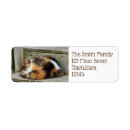 Search for calico cat return address labels Feline