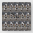Recherche de chien de berger anglais art Queue écourtée
