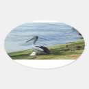 Search for duck family stickers Birds