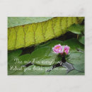 Recherche de waterlily Bloom