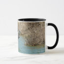 Search for great heron mugs Nature