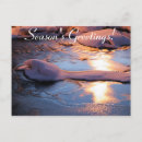 Search for finland christmas cards Xmas