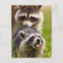 Search for omnivorous postcards Omnivore