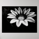 Recherche de rayure florale art Pour tous