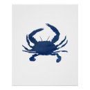 Recherche de crabes posters Crabe bleu