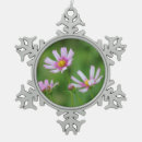 Search for cosmos ornaments Garden