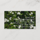 Search for jasmine business cards Nature
