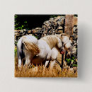 Recherche de poneys badges Chevaux