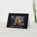 Search for cute seal pup Adorable