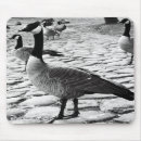 Search for near mousepads Canada