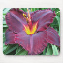 Search for volcanic mousepads Nature