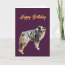 Search for shepards cards Dog lover
