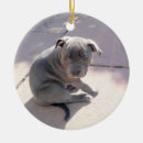 Search for staffordshire bull terrier ornaments Dog