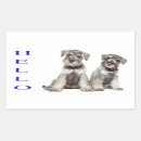 Search for miniature schnauzer stickers Puppies