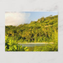 Recherche de françaises cartes postales Tropical