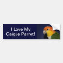 Search for bellis bumper stickers Caique