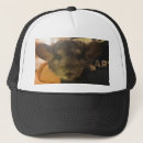 Recherche de chinchilla accessoires Cute