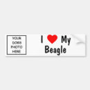 Search for beagle bumper stickers Hound
