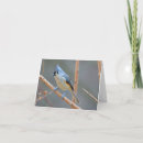 Search for bushs christmas cards Bird